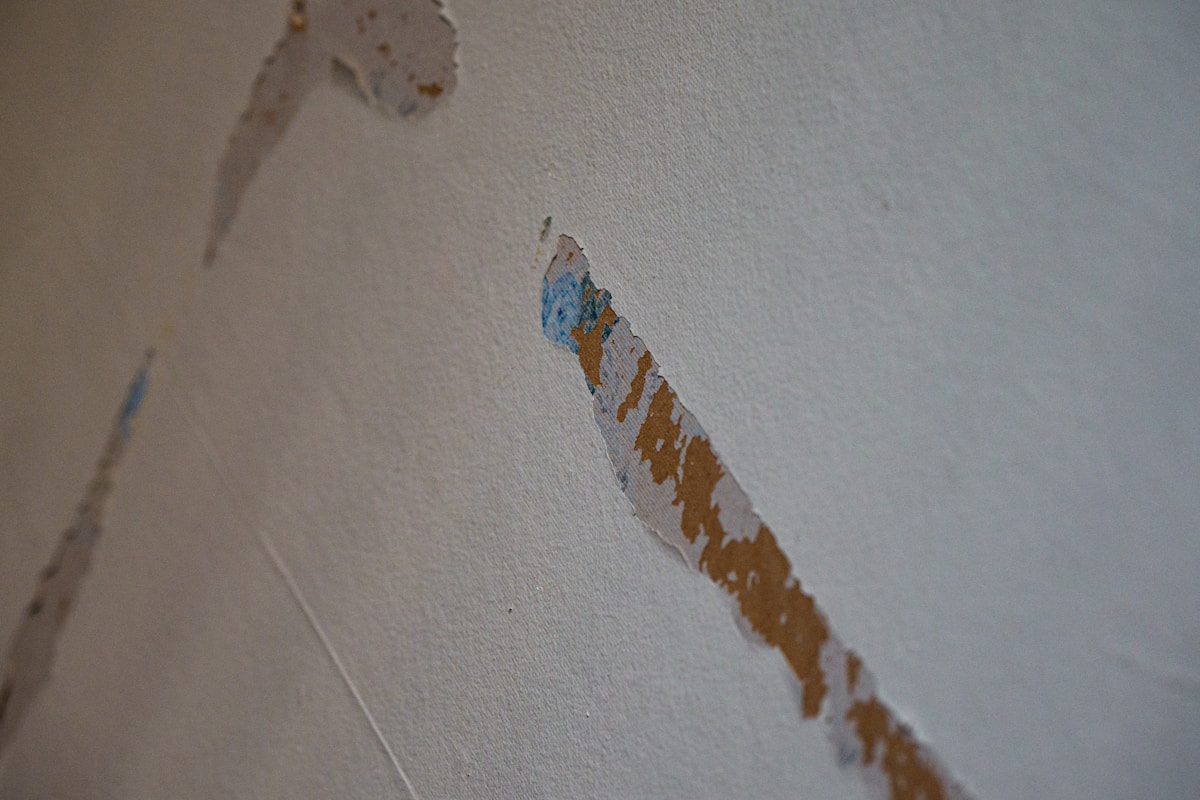 Basement Water Removal service in Myrtle Beach, SC